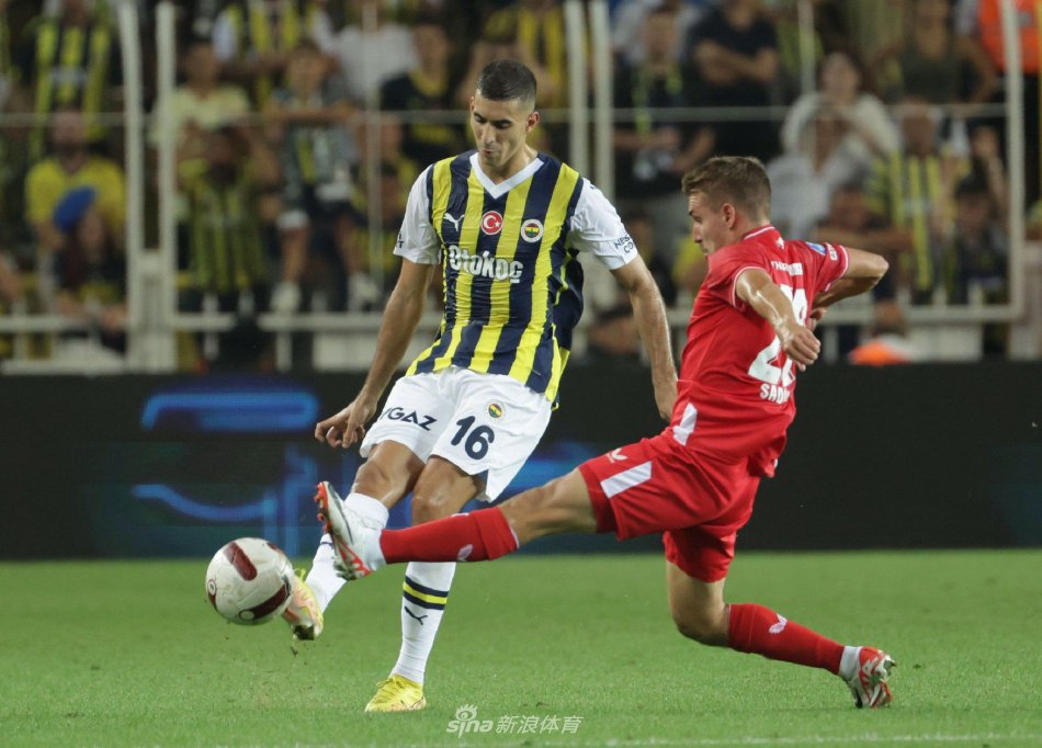 这不仅体现 这不仅体现