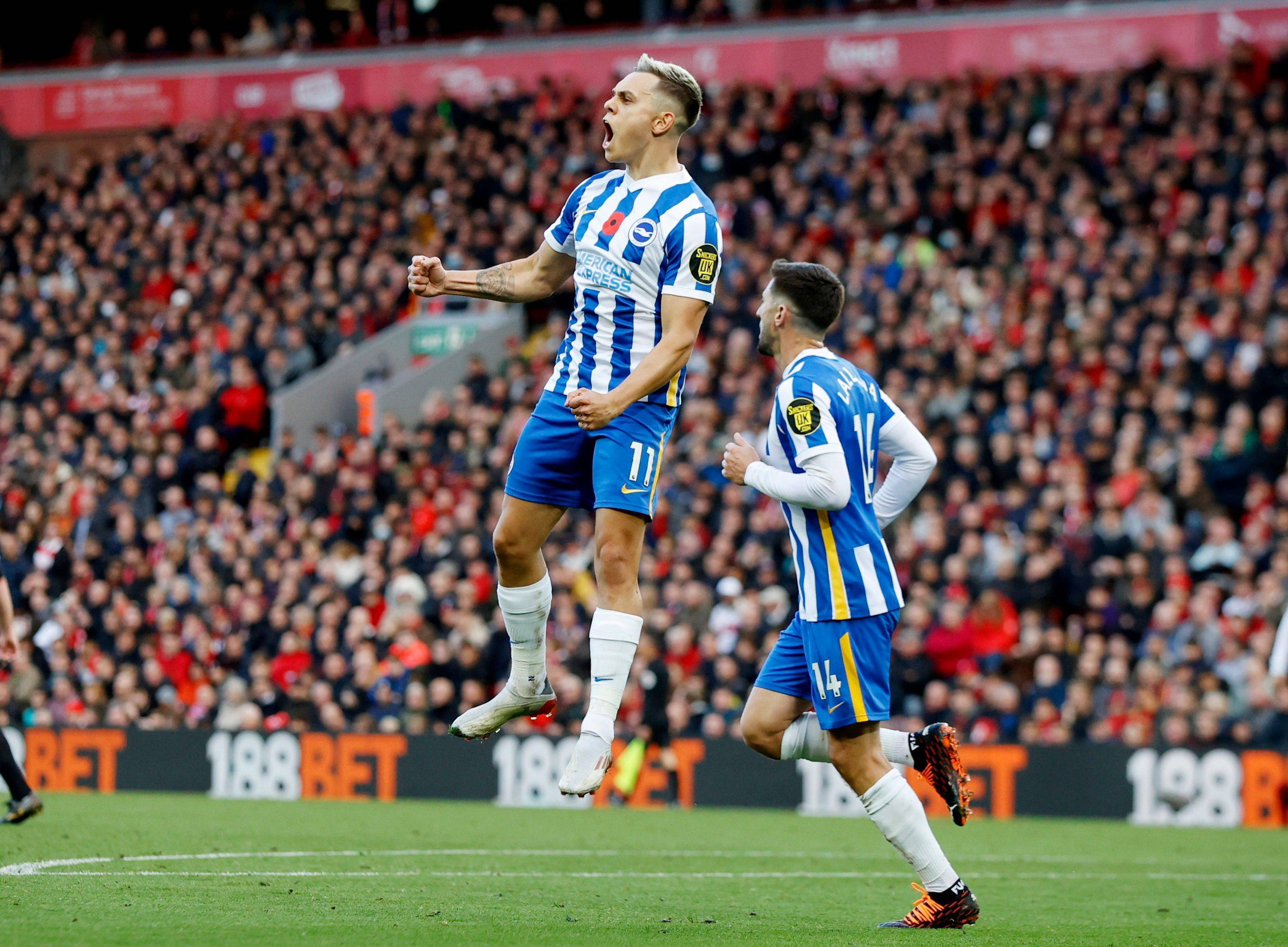 反应速度 反应速度