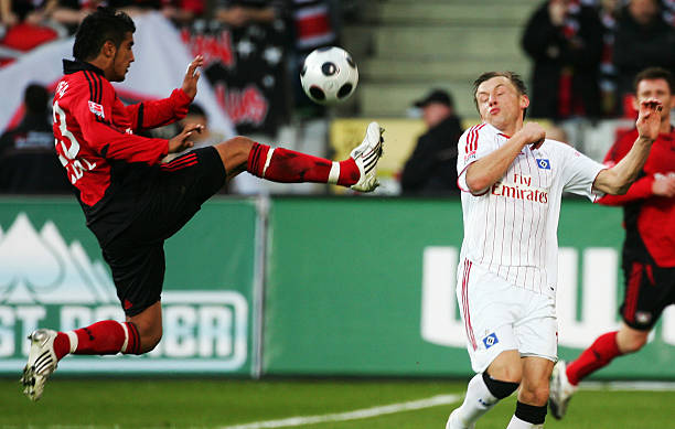 中都占据了 中都占据了